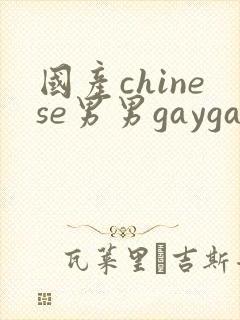国产chinese男男gaygay免费观看