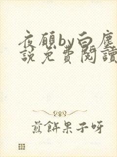 夜愿by白尘小说免费阅读笔趣阁无弹窗