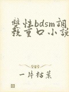 双性bdsm调教重口小说封面