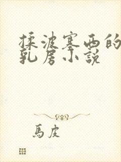 揉波塞西的大白乳房小说