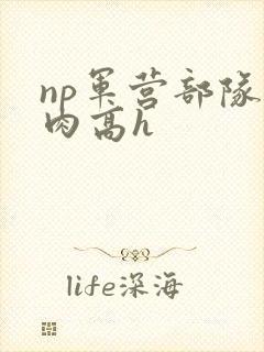 np军营部队纯肉高h