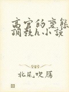 高官的变态玩弄调教h小说