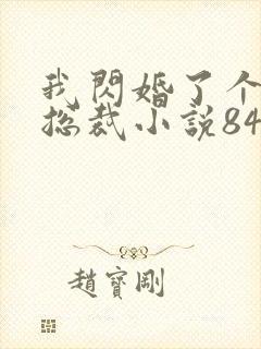 我闪婚了个亿万总裁小说84