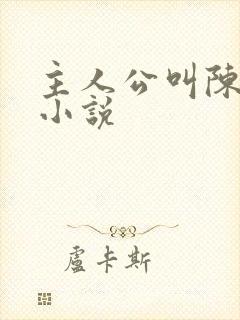 主人公叫陈望的小说封面