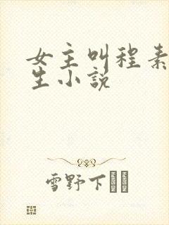 女主叫程素的重生小说封面