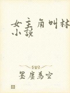 女主角叫林慧的小说