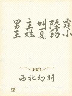 男主叫陆霆琛女主姓夏的小说