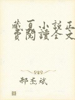 藏夏小说正版免费阅读全文无弹窗