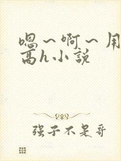 嗯～啊～用力～高h小说