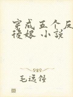 穿成五个反派的后娘 小说封面