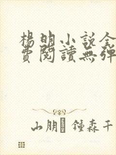 杨明小说全文免费阅读无弹窗