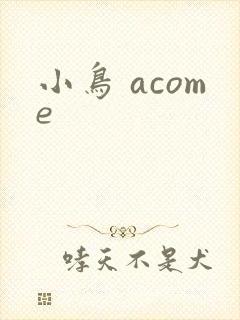 小鸟 acome封面