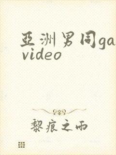 亚洲男同gay video
