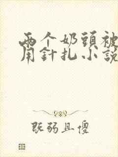 两个奶头被主人用针扎小说