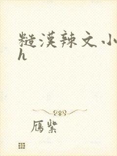 糙汉辣文小说纯h