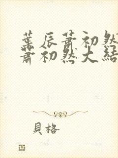 叶辰萧初然叶辰萧初然大结局封面