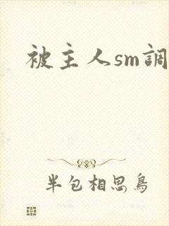 被主人sm调教