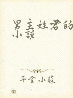 男主姓君的玄幻小说