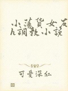 小荡货女友小怡h调教小说