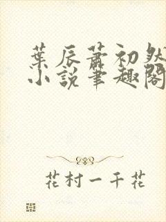 叶辰萧初然顶点小说笔趣阁