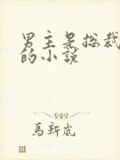 男主是总裁姓沈的小说