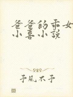 爸爸的乖女儿林小喜小说