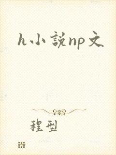 h小说np文封面