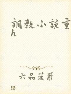 调教小说重口高h封面