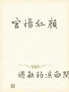 官场红颜封面