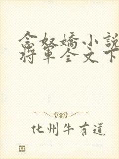 念奴娇小说糙汉将军全文下载封面