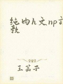 纯肉h文np调教