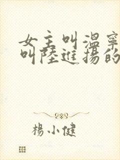 女主叫温宁男主叫陆进扬的小说