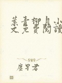 叶青柳月小说全文免费阅读无弹窗封面