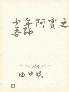 少年阿宾之吾爱吾师