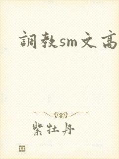 调教sm文高h