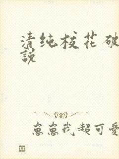 清纯校花破处小说