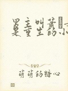 男主叫萧玦女主是重生的小说