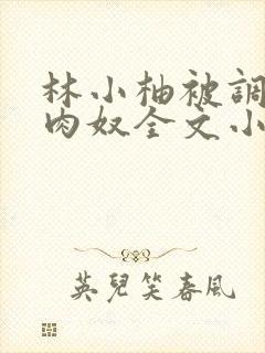 林小柚被调教成肉奴全文小说