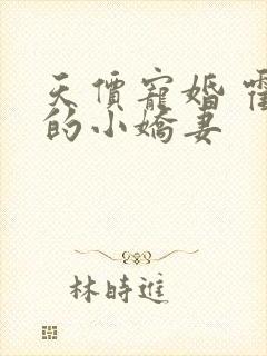 天价宠婚 霍总的小娇妻封面