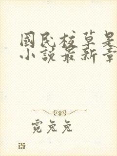 国民校草是女生小说最新章节阅读