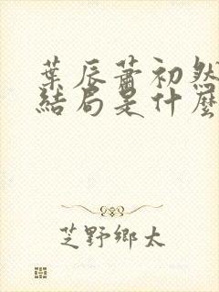 叶辰萧初然最后结局是什么?