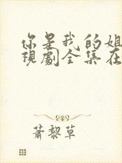 你是我的姐妹电视剧全集在线观看封面