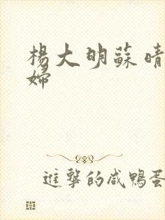 杨大明苏晴儿媳妇