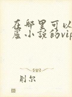 在哪里可以看飞卢小说的vip章节