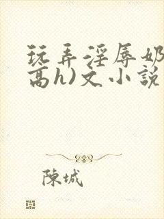 玩弄淫辱奶头(高h)文小说