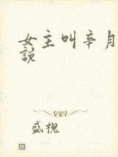 女主叫辛月的小说
