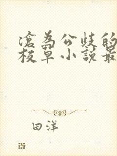 沧为公歧的清纯校草小说最新章节更