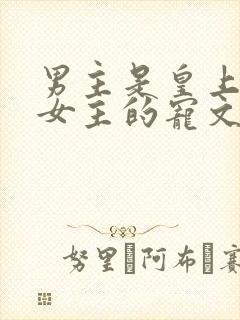 男主是皇上独宠女主的宠文封面