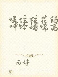 吸住校花的奶头呻吟娇喘高