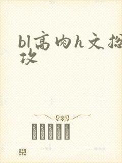 bl高肉h文总攻
